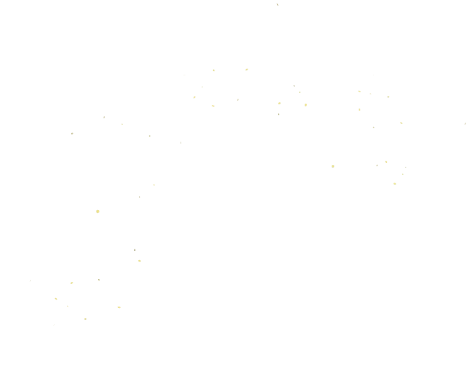 Light particles