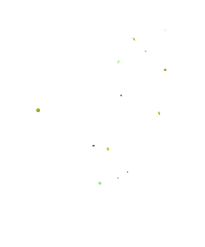 particles